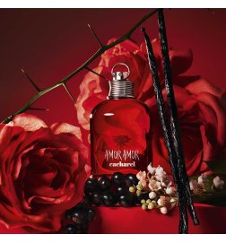 Amor Amor Set - Eau de Toilette Amor Amor Set - Eau de Toilette